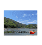 旅する手羽先 改善版（個別スタンプ：17）