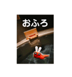旅する手羽先 改善版（個別スタンプ：24）
