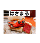 旅する手羽先 改善版（個別スタンプ：30）