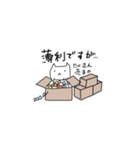 せどりするねこ（個別スタンプ：15）