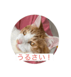 かみはつスタンプ2！！！（個別スタンプ：2）