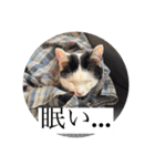 かみはつスタンプ2！！！（個別スタンプ：4）