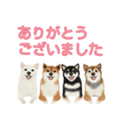 Mommy cats and dogs（個別スタンプ：3）