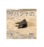 ゴマの日常3＋愉快な仲間たち（個別スタンプ：24）