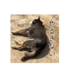 ゴマの日常3＋愉快な仲間たち（個別スタンプ：25）