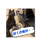 ゴマの日常3＋愉快な仲間たち（個別スタンプ：39）