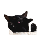 むにちゃんのへんなかお（個別スタンプ：4）