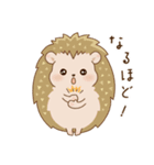 ちいさなかわいいハリネズミたち（個別スタンプ：36）