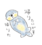 ぷくぷくほっぺのラッコさん（個別スタンプ：14）