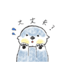 ぷくぷくほっぺのラッコさん（個別スタンプ：28）
