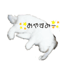 AO's Family（個別スタンプ：1）