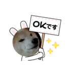 柴犬 ☆ 龍（個別スタンプ：4）