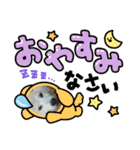 柴犬 ☆ 龍（個別スタンプ：6）