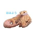 裏スジスタンプ（個別スタンプ：2）