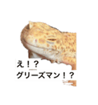 裏スジスタンプ（個別スタンプ：3）