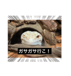 裏スジスタンプ（個別スタンプ：8）