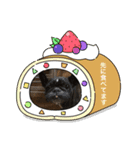 うちのわんこラブ（個別スタンプ：5）