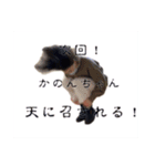 ここまいかんちだから（個別スタンプ：14）