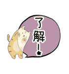 吹き出しスタンプ(animal)（個別スタンプ：15）