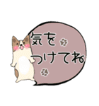 吹き出しスタンプ(animal)（個別スタンプ：32）