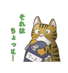 野良猫管弦楽団の夜（個別スタンプ：19）