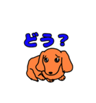 可愛い3種類の犬のスタンプ！（個別スタンプ：21）