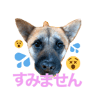 古民家のかわいいみんなたち（個別スタンプ：4）