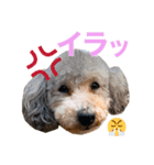 古民家のかわいいみんなたち（個別スタンプ：6）