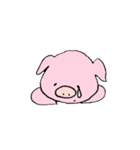 たれみみぶたさん（個別スタンプ：4）