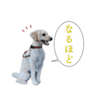 doog doog doog 02（個別スタンプ：5）