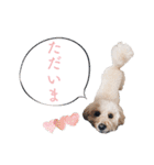 doog doog doog 02（個別スタンプ：9）