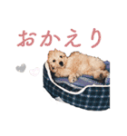 doog doog doog 02（個別スタンプ：10）