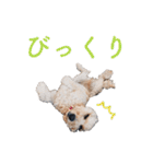 doog doog doog 02（個別スタンプ：12）