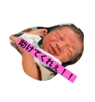 思い出の初ベビー（個別スタンプ：1）