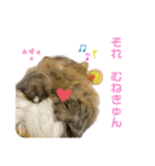 短足マンチカンのクリスタちゃん♀4（個別スタンプ：2）