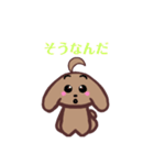 可愛いトイプーすたんぷ（個別スタンプ：21）