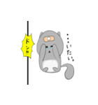 チンチラの日常。（個別スタンプ：7）
