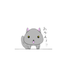 チンチラの日常。（個別スタンプ：9）