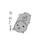 チンチラの日常。（個別スタンプ：26）