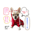 フレブル女子〜HANA〜（個別スタンプ：1）