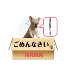 フレブル女子〜HANA〜（個別スタンプ：4）