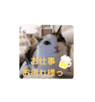 TAMA x KIKI ②（個別スタンプ：4）