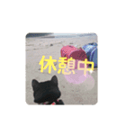 TAMA x KIKI ②（個別スタンプ：5）