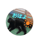 TAMA x KIKI ②（個別スタンプ：6）