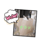 TAMA x KIKI ②（個別スタンプ：7）