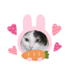 TAMA x KIKI ②（個別スタンプ：9）
