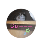 TAMA x KIKI ②（個別スタンプ：13）