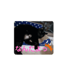 TAMA x KIKI ②（個別スタンプ：15）