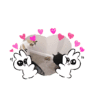 TAMA x KIKI ②（個別スタンプ：16）