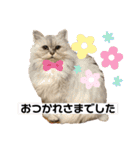 ラムネ、ラスクのスタンプ2（個別スタンプ：27）